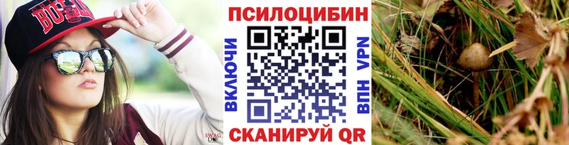 Псилоцибиновые грибы ЛСД  Купить где  Североморск 