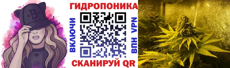 Купить где  Североморск  МАРИХУАНА White Widow 